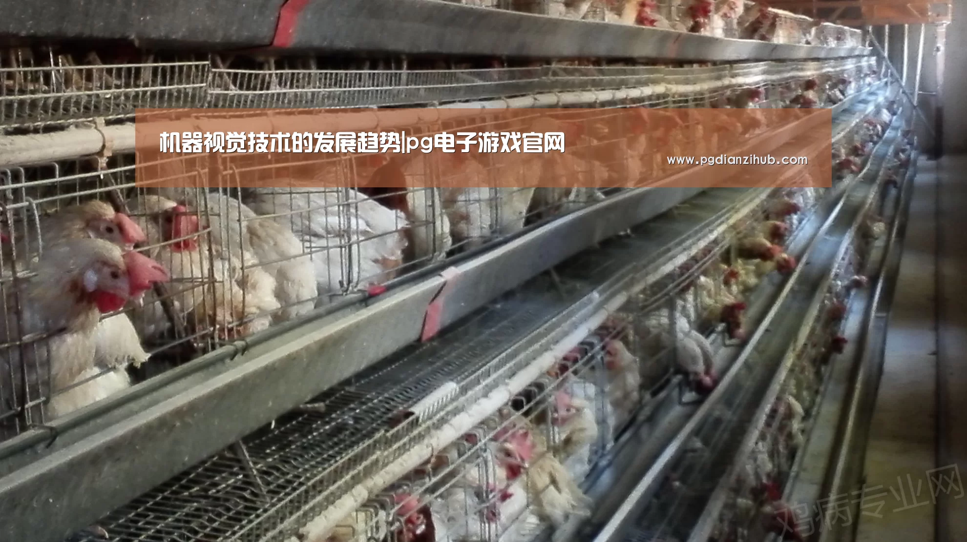 机器视觉技术的发展趋势|pg电子游戏官网
