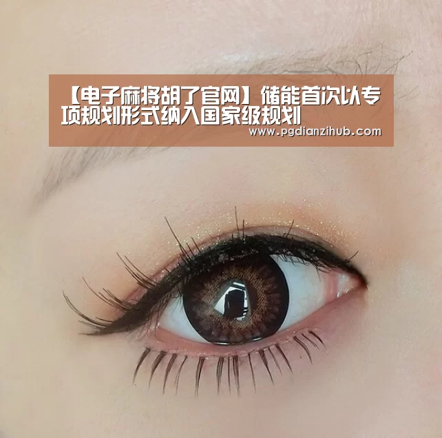 【电子麻将胡了官网】储能首次以专项规划形式纳入国家级规划(图4) 电子麻将胡了官网