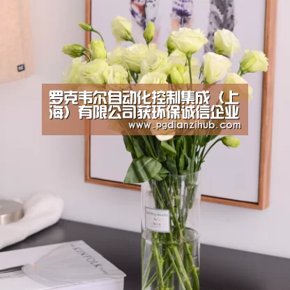 罗克韦尔自动化控制集成（上海）有限公司获环保诚信企业称号_pgdianzi(图2)