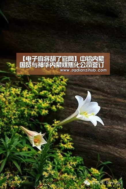 【电子麻将胡了官网】中铝内蒙国贸与神华内蒙煤焦化公司签订长期合作协议(图3) pg电子游戏官网