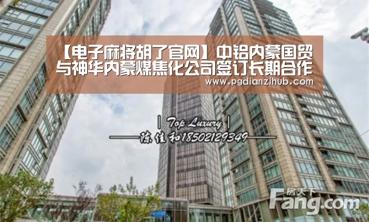 【电子麻将胡了官网】中铝内蒙国贸与神华内蒙煤焦化公司签订长期合作协议(图4) 电子麻将胡了官网