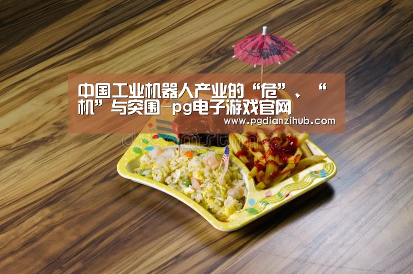 中国工业机器人产业的“危”、“机”与突围-pg电子游戏官网