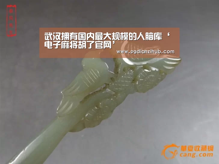 pg电子游戏官网